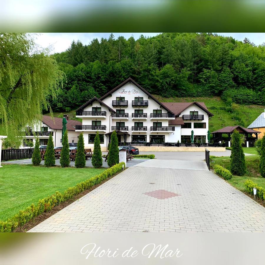 Flori De Mar Poiana Marului (Brasov) Exterior photo