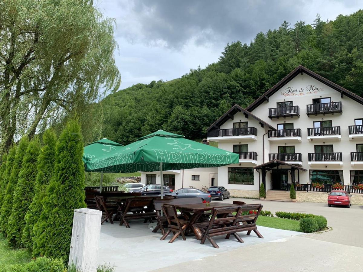 Flori De Mar Poiana Marului (Brasov) Exterior photo