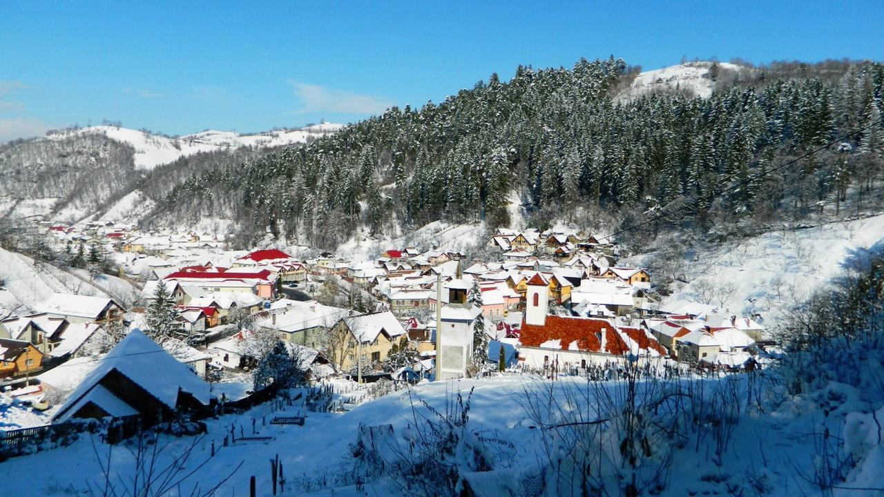 Flori De Mar Poiana Marului (Brasov) Exterior photo