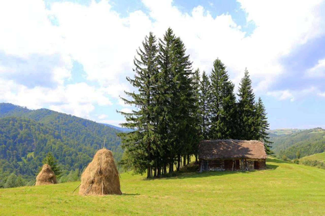 Flori De Mar Poiana Marului (Brasov) Exterior photo